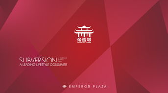 品牌设计企业高级套餐 全方位品牌策划，铸就市场领导力